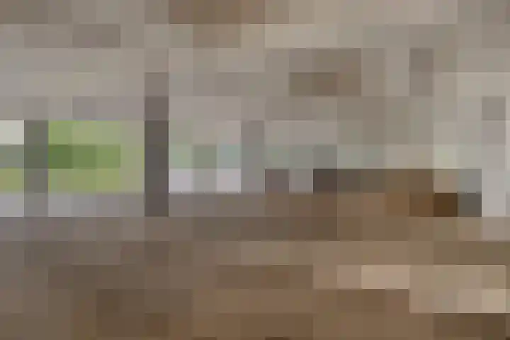 Rozenhof 89 Epe thumbnail 28