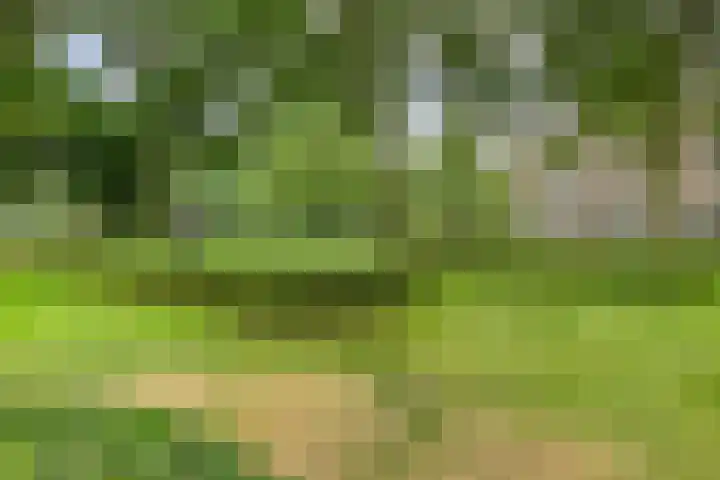 Rozenhof 89 Epe thumbnail 29