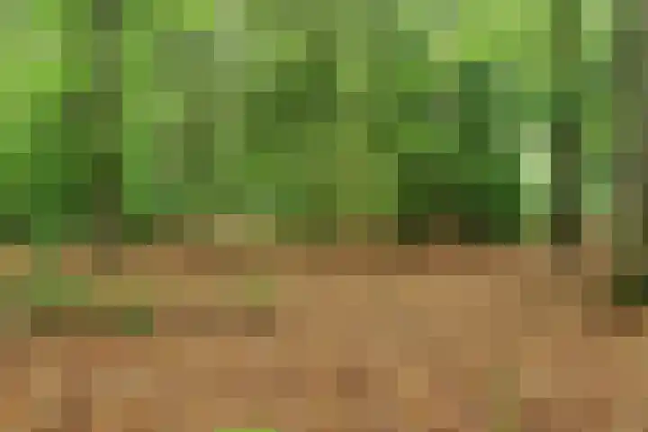 Rozenhof 89 Epe thumbnail 30
