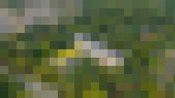 Rozenhof 89 Epe thumbnail 31