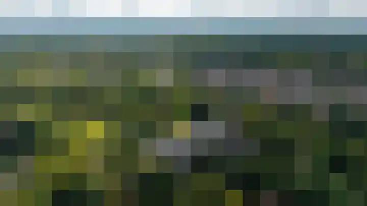 Rozenhof 89 Epe thumbnail 32