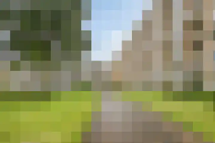 Rozenhof 89 Epe thumbnail 4