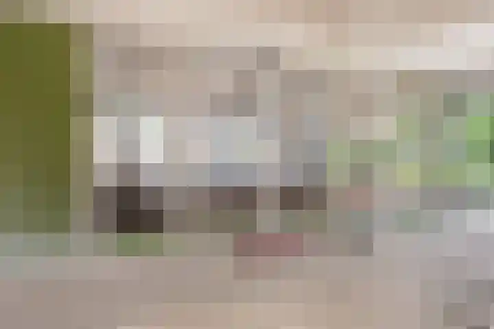 Rozenhof 89 Epe thumbnail 5