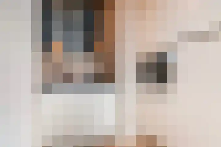 Rozenhof 94 Epe thumbnail 10