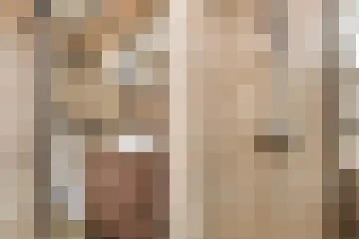 Rozenhof 94 Epe thumbnail 13