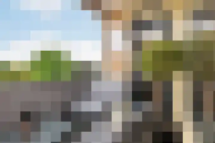 Rozenhof 94 Epe thumbnail 17