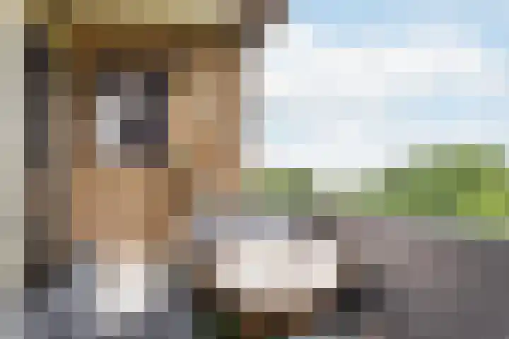 Rozenhof 94 Epe thumbnail 18