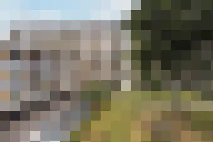 Rozenhof 94 Epe foto 2