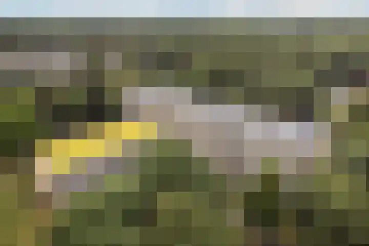 Rozenhof 94 Epe thumbnail 20