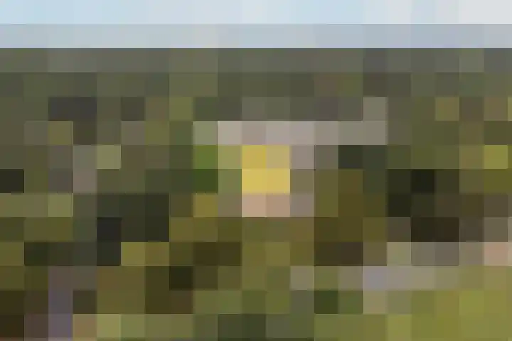 Rozenhof 94 Epe thumbnail 21