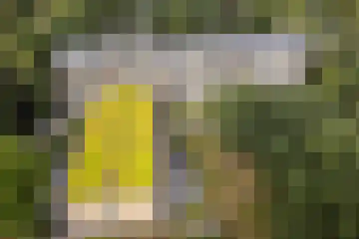 Rozenhof 94 Epe thumbnail 22