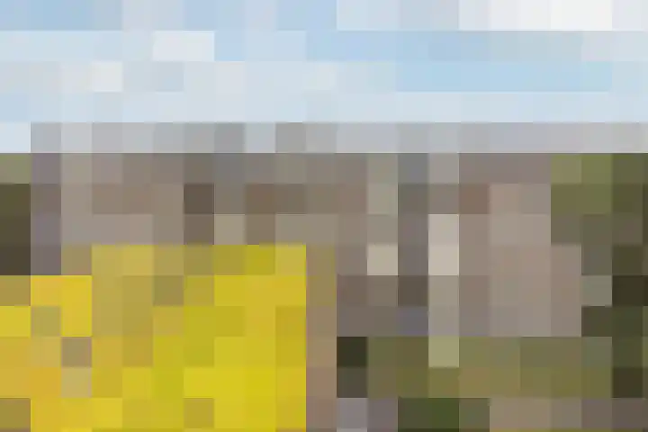 Rozenhof 94 Epe thumbnail 4