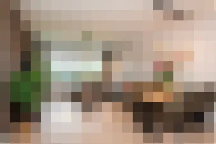 Rozenhof 94 Epe thumbnail 5