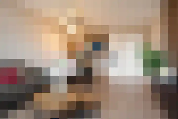Rozenhof 94 Epe thumbnail 8