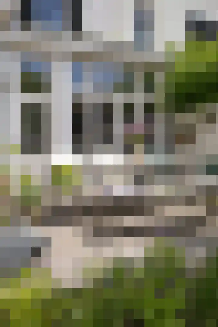 Rozenhoflaan 2 Zutphen thumbnail 27