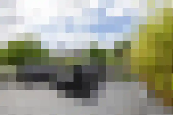 Rozenhoflaan 2 Zutphen thumbnail 38
