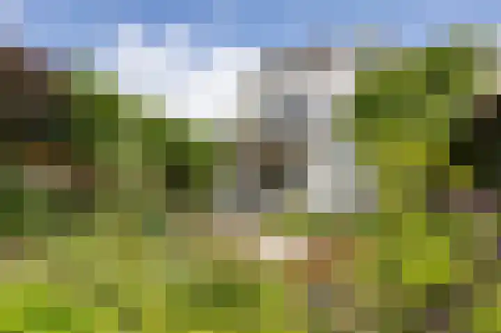 Rozenhoflaan 2 Zutphen thumbnail 69