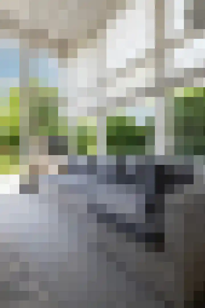 Rozenhoflaan 2 Zutphen thumbnail 71