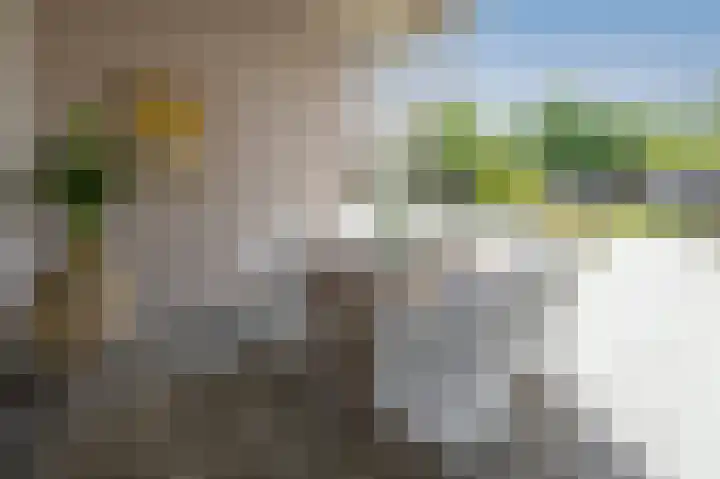 Rozenhoflaan 2 Zutphen thumbnail 72