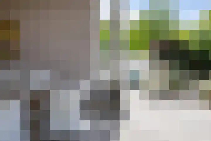 Rozenhoflaan 2 Zutphen thumbnail 73