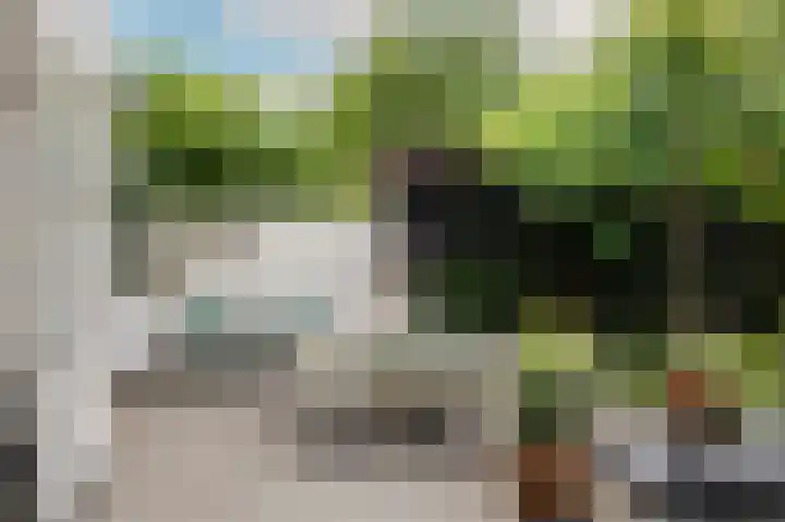 Rozenhoflaan 2 Zutphen thumbnail 75