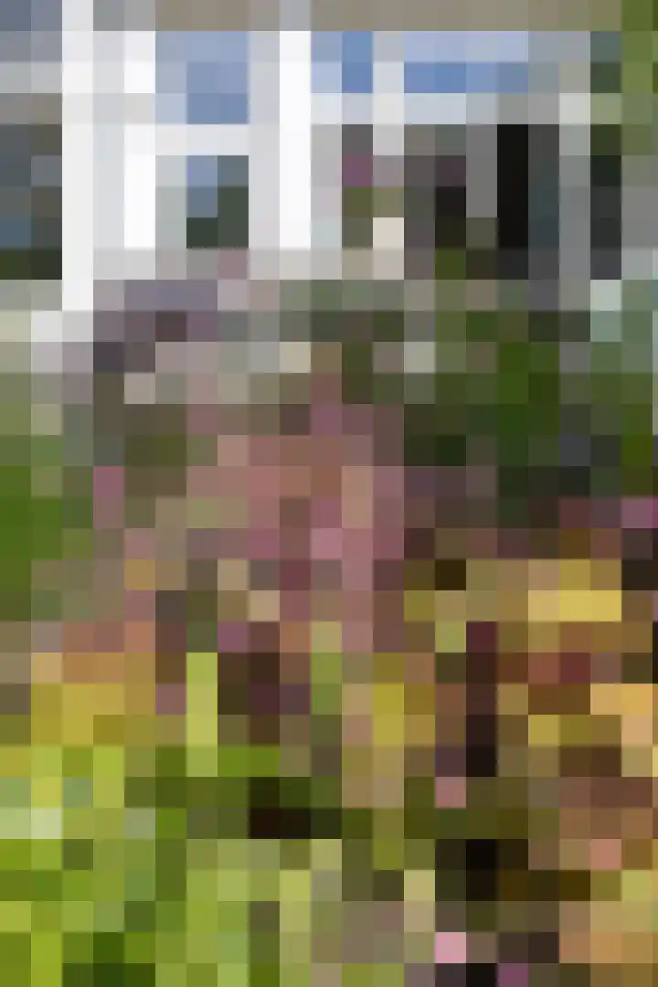 Rozenhoflaan 2 Zutphen thumbnail 78