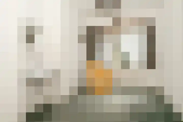Rozenhoflaan 3 Epe thumbnail 10