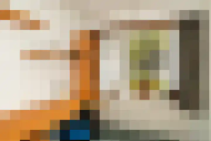 Rozenhoflaan 3 Epe thumbnail 12