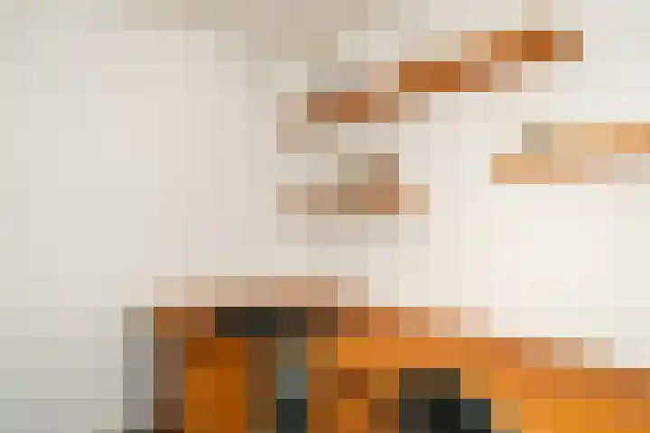 Rozenhoflaan 3 Epe thumbnail 13