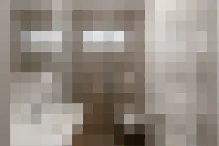 Rozenhoflaan 3 Epe thumbnail 14