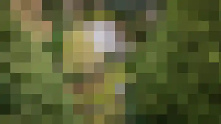 Rozenhoflaan 3 Epe thumbnail 18