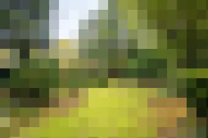 Rozenhoflaan 3 Epe thumbnail 21
