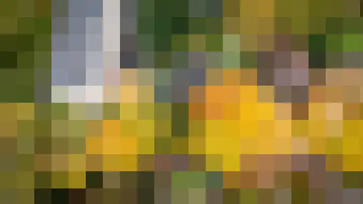 Rozenhoflaan 3 Epe thumbnail 22