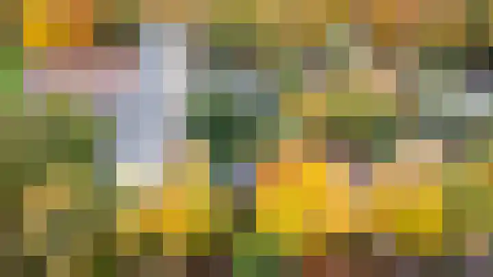 Rozenhoflaan 3 Epe thumbnail 23