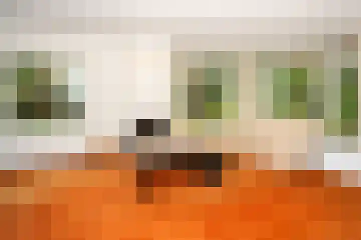 Rozenhoflaan 3 Epe thumbnail 6