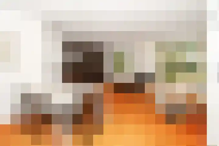 Rozenhoflaan 3 Epe thumbnail 7