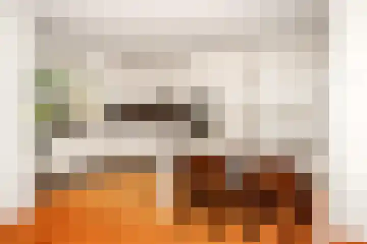Rozenhoflaan 3 Epe thumbnail 8