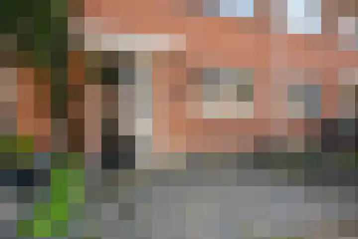 Rozenhout 36 Barendrecht thumbnail 5