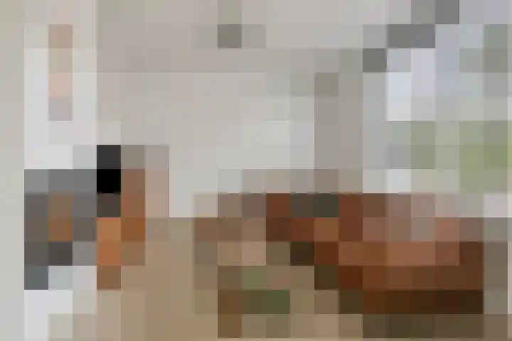 Rozenkamp 35 Eibergen thumbnail 10