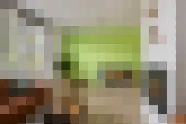 Rozenkamp 35 Eibergen thumbnail 11