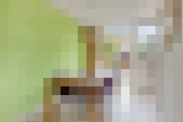 Rozenkamp 35 Eibergen thumbnail 14