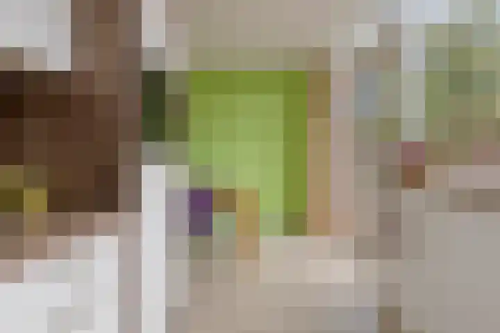 Rozenkamp 35 Eibergen thumbnail 16