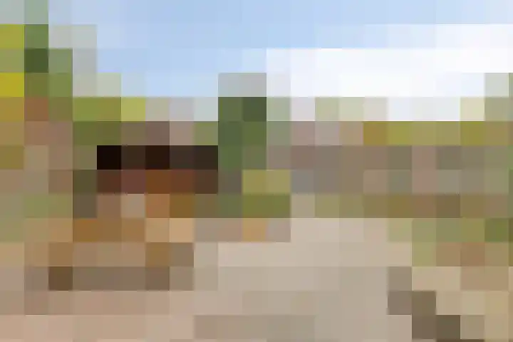 Rozenkamp 35 Eibergen thumbnail 21