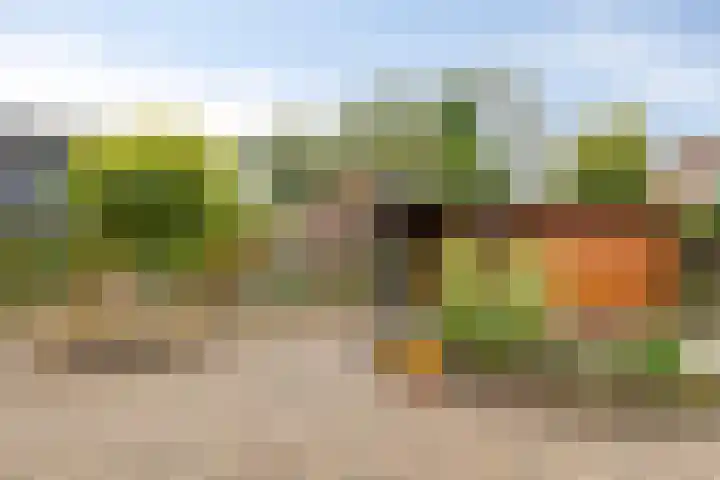 Rozenkamp 35 Eibergen thumbnail 22