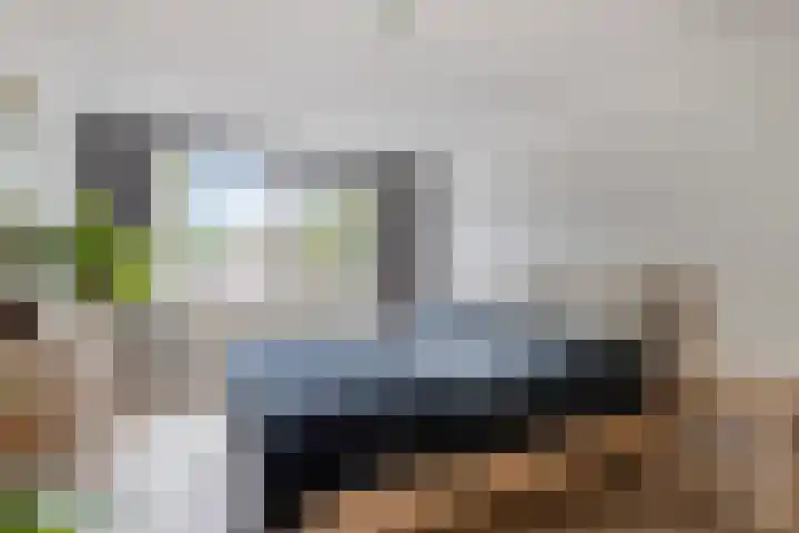 Rozenkamp 35 Eibergen thumbnail 26