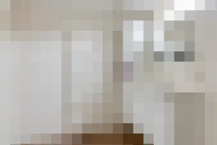 Rozenkamp 35 Eibergen thumbnail 34