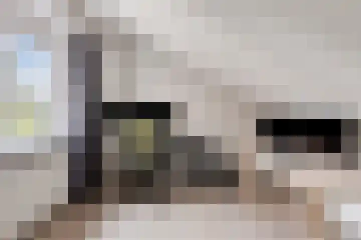 Rozenkamp 35 Eibergen thumbnail 36