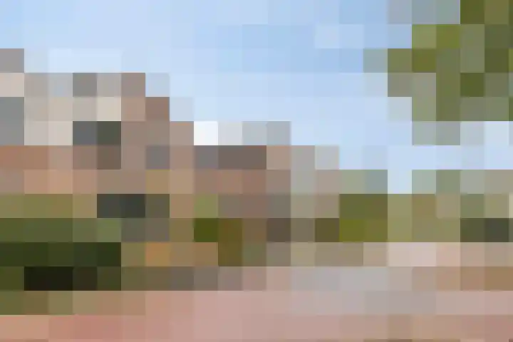 Rozenkamp 35 Eibergen thumbnail 38