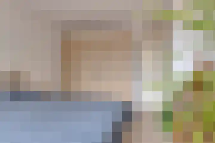 Rozenkamp 35 Eibergen thumbnail 4