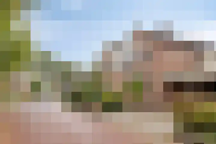 Rozenkamp 35 Eibergen thumbnail 40